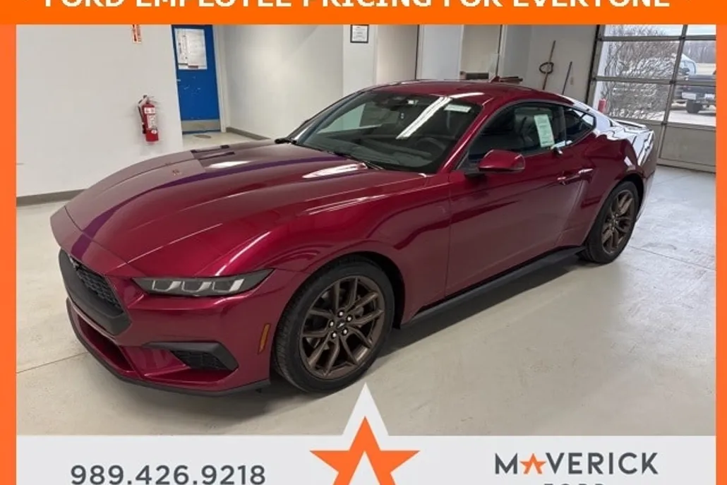 2025 Ford Mustang EcoBoost photo 1