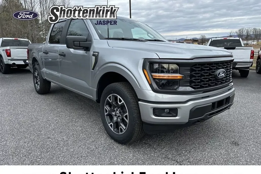 2025 Ford F-150 STX photo 1