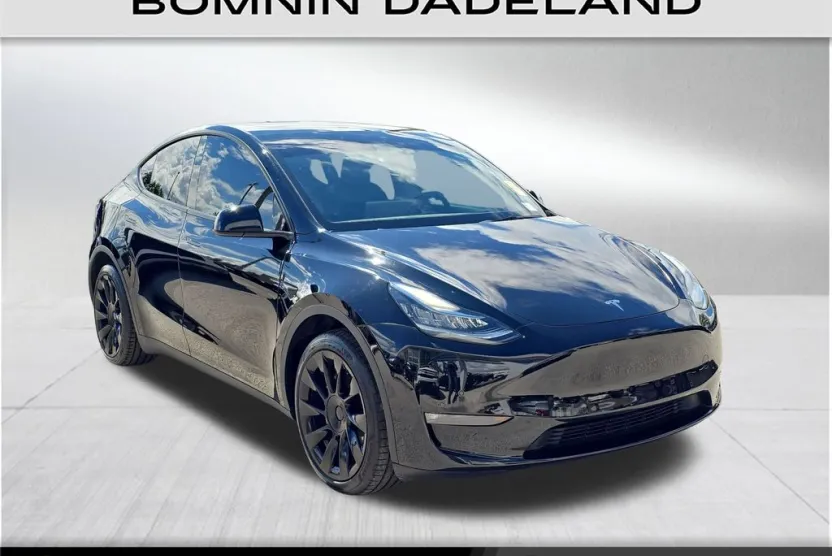 2021 Tesla Model Y Long Range photo 1