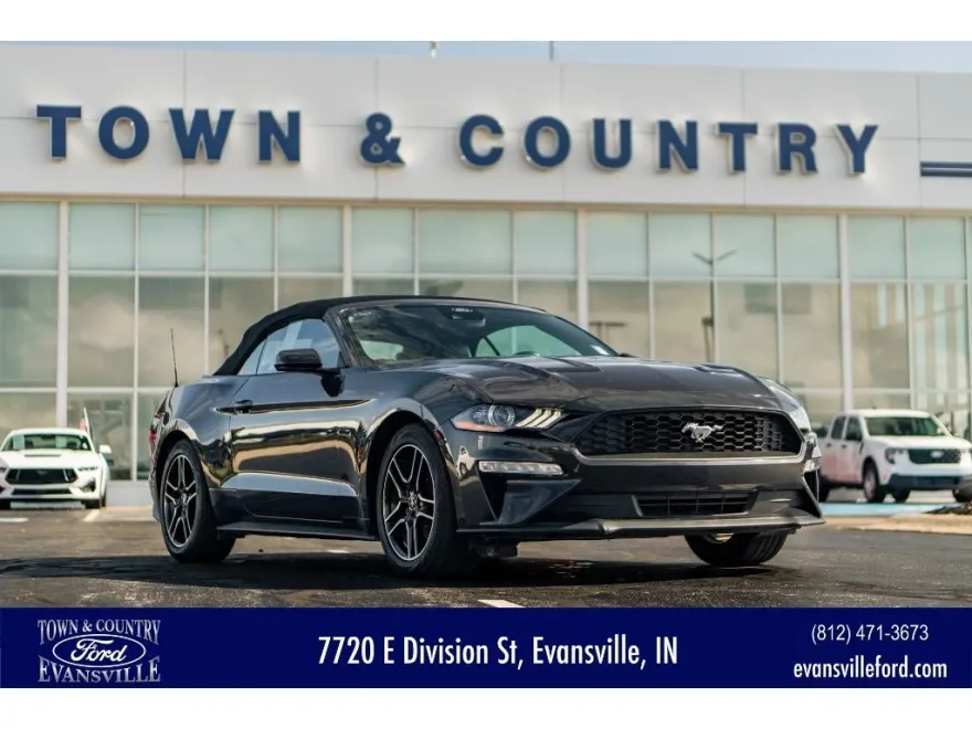 2023 Ford Mustang EcoBoost Premium photo 1