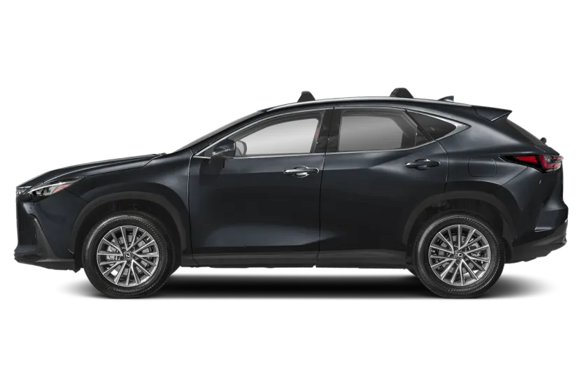 2025 Lexus NX Premium photo 1