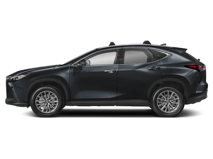 2025 Lexus NX Premium photo 1