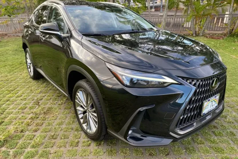2023 Lexus NX 350h Premium photo 1