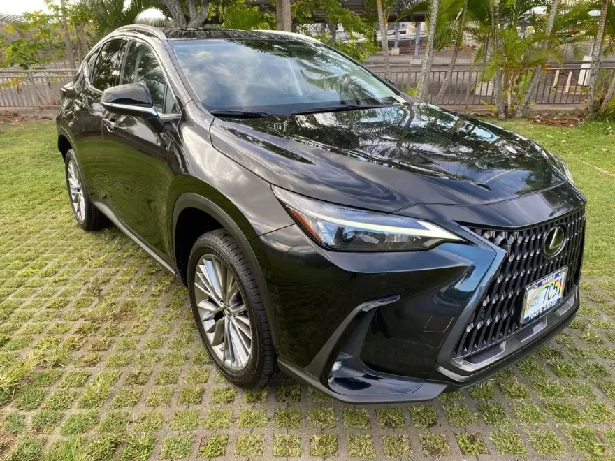 2023 Lexus NX 350h Premium photo 1