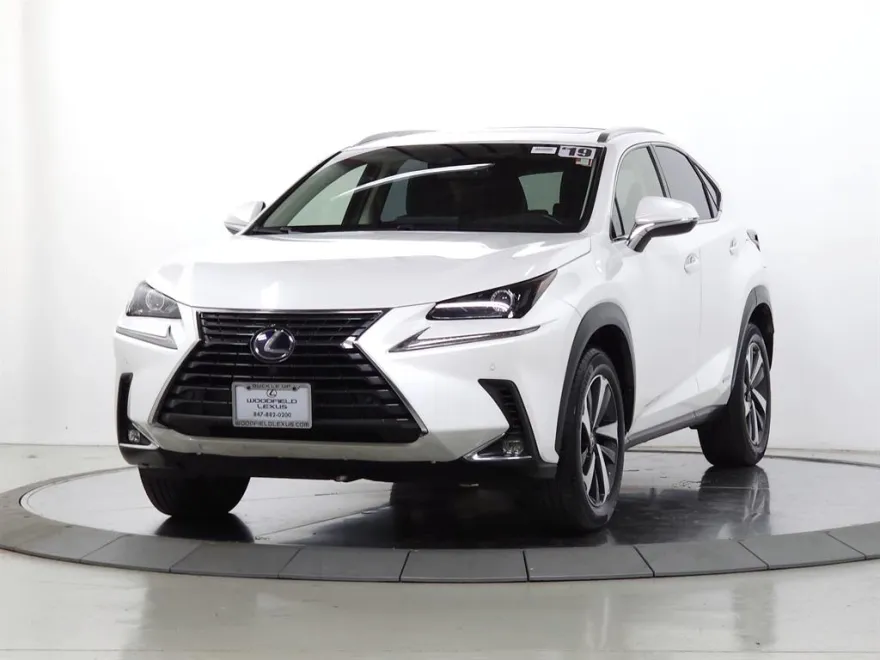 2019 Lexus NX 300h Luxury photo 1