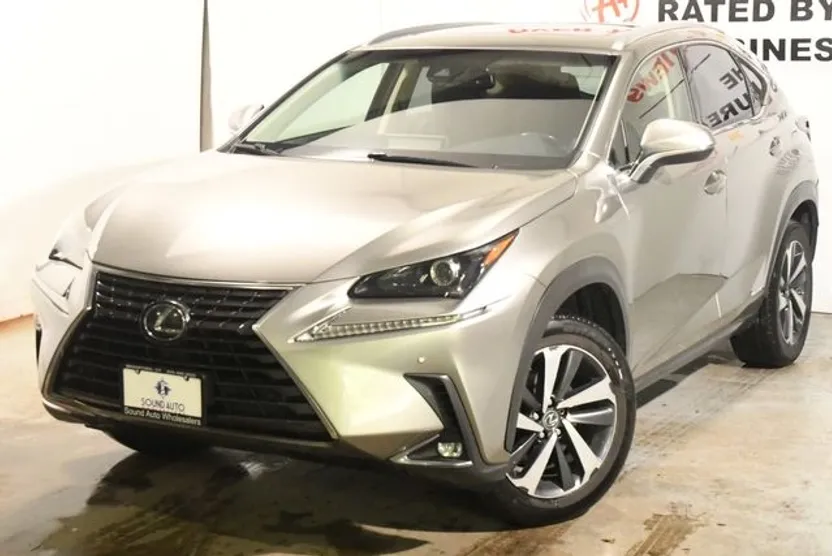 2018 Lexus NX 300h Luxury photo 1
