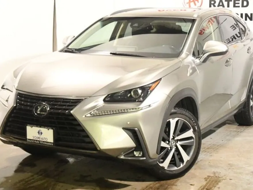 2018 Lexus NX 300h Luxury photo 1