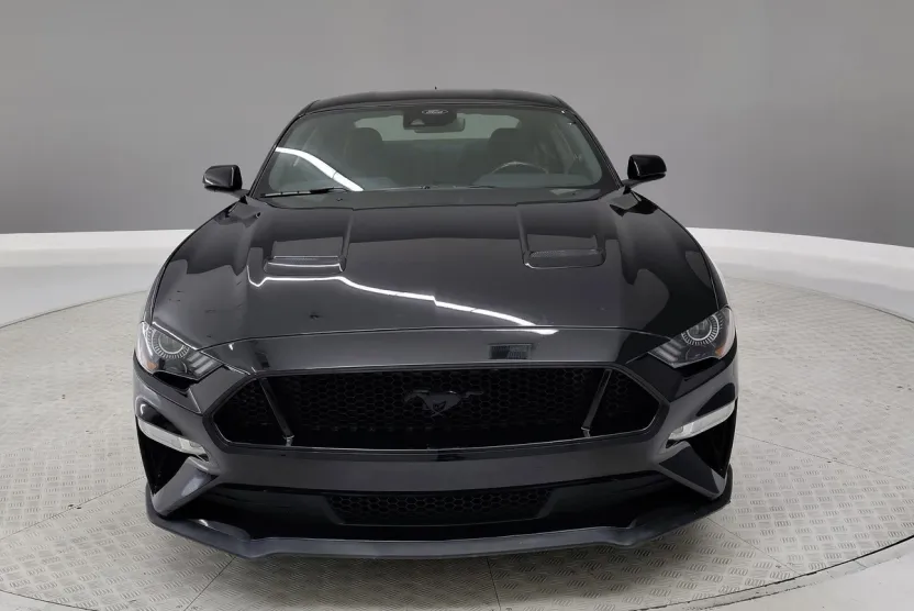 2021 Ford Mustang GT photo 1