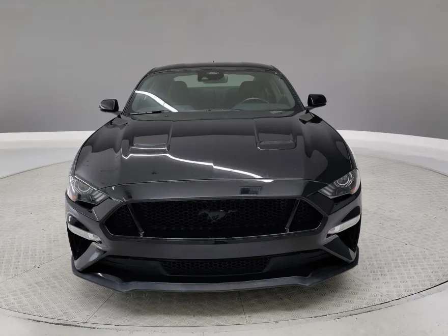 2021 Ford Mustang GT photo 1