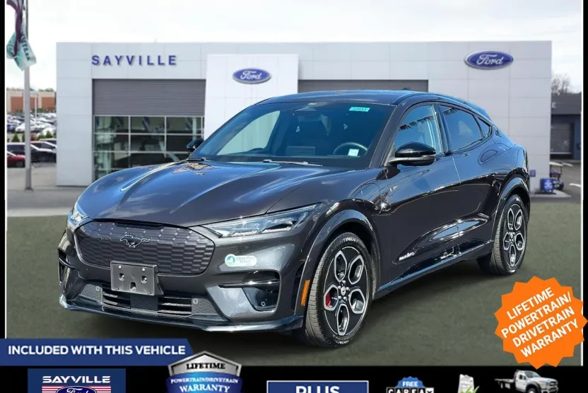 2021 Ford Mustang Mach-E GT photo 1