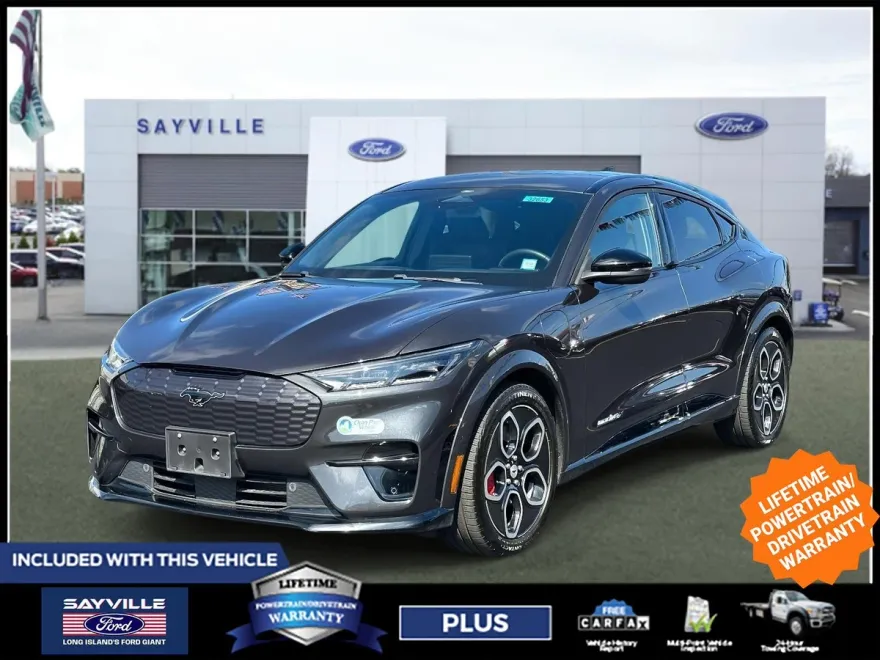 2021 Ford Mustang Mach-E GT photo 1