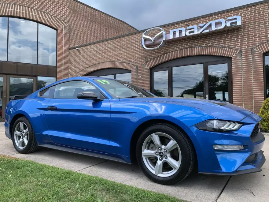 2019 Ford Mustang EcoBoost photo 1