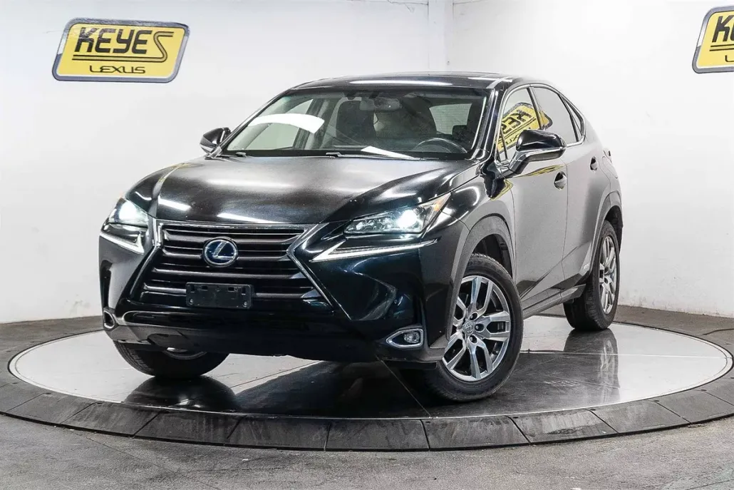 2015 Lexus NX 300h Luxury photo 1