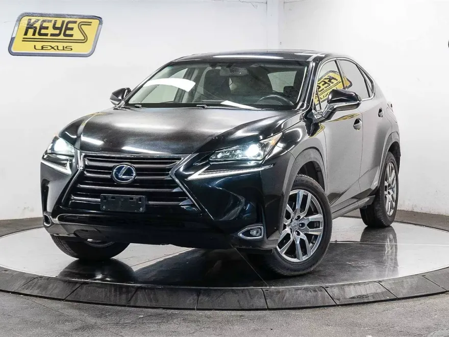 2015 Lexus NX 300h Luxury photo 1