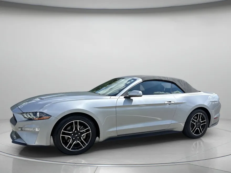 2023 Ford Mustang EcoBoost Premium photo 1