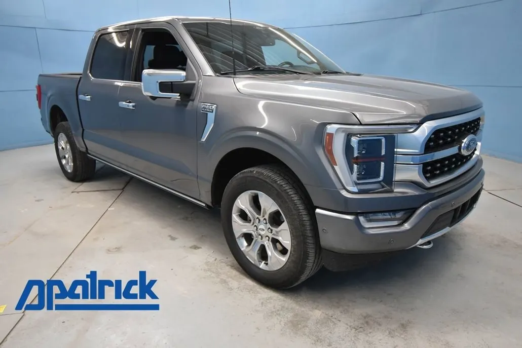2022 Ford F-150 Platinum photo 1