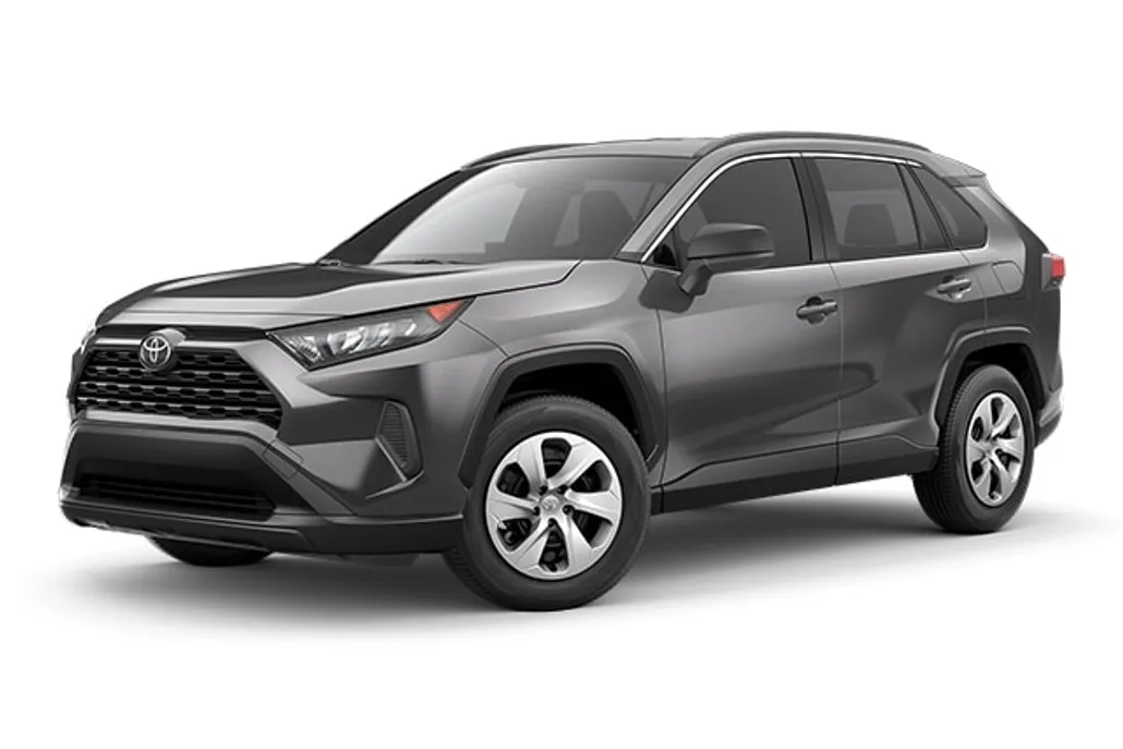 2019 Toyota RAV4 LE photo 1
