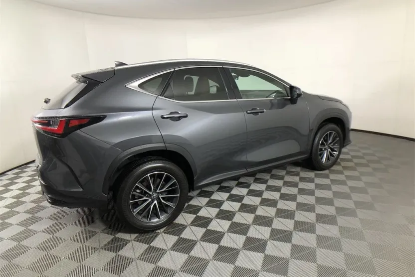 2024 Lexus NX 250 photo 1