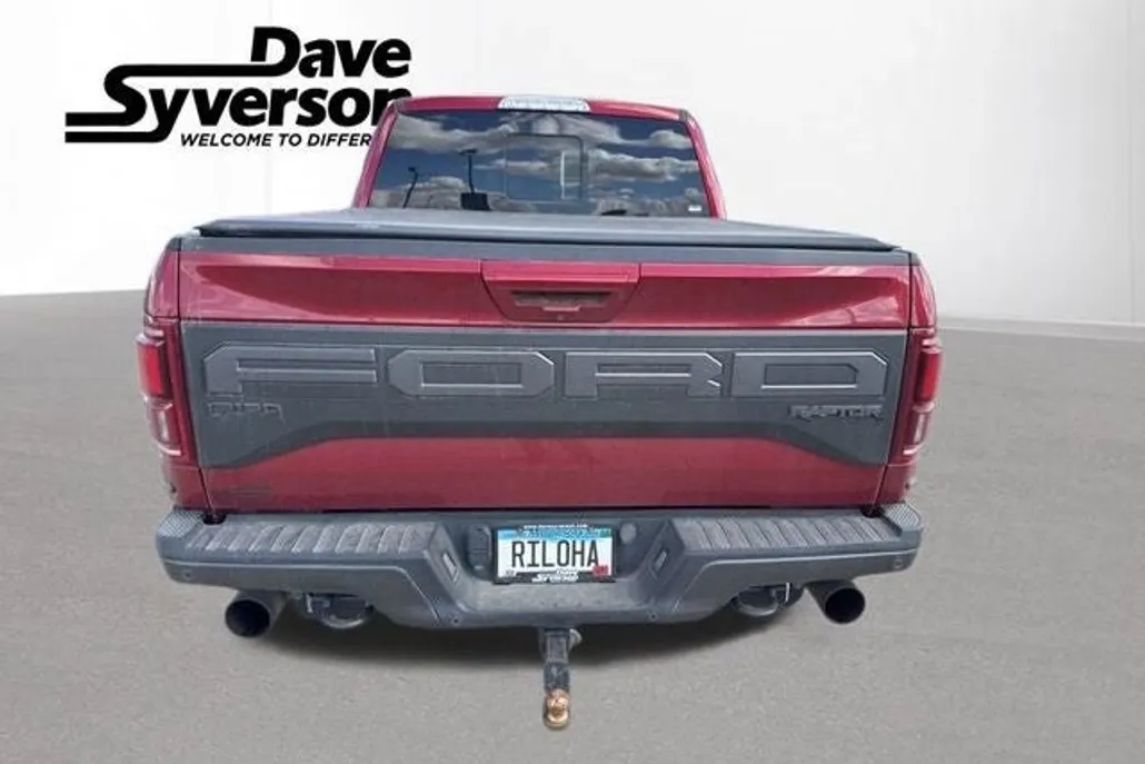 2019 Ford F-150 Raptor photo 1