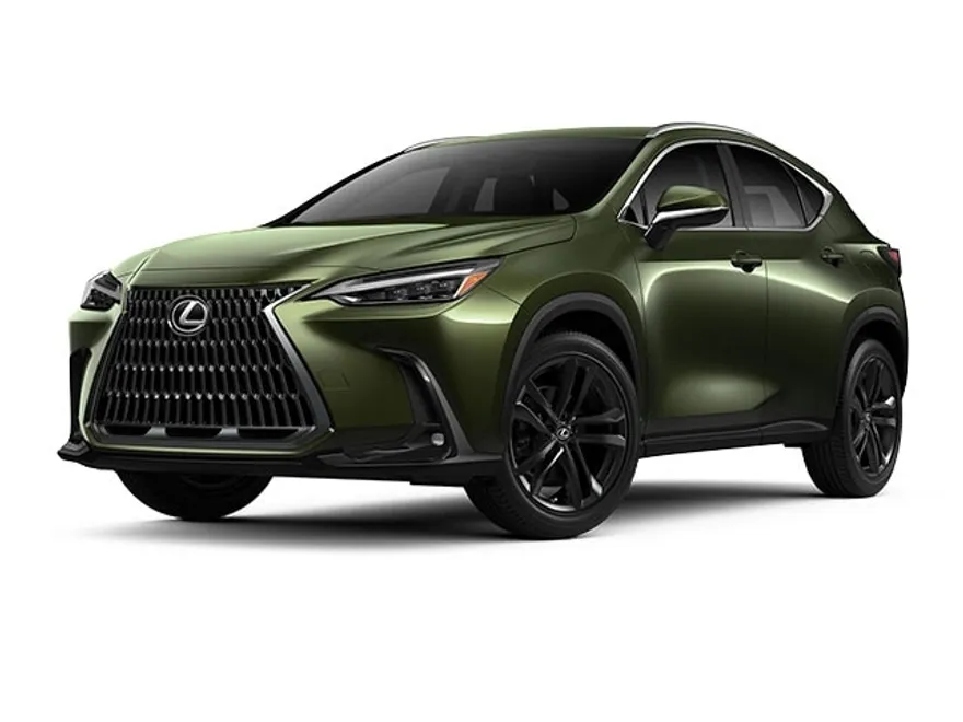 2025 Lexus NX Luxury photo 1