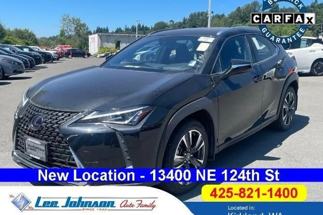 2021 Lexus UX 250h photo 1