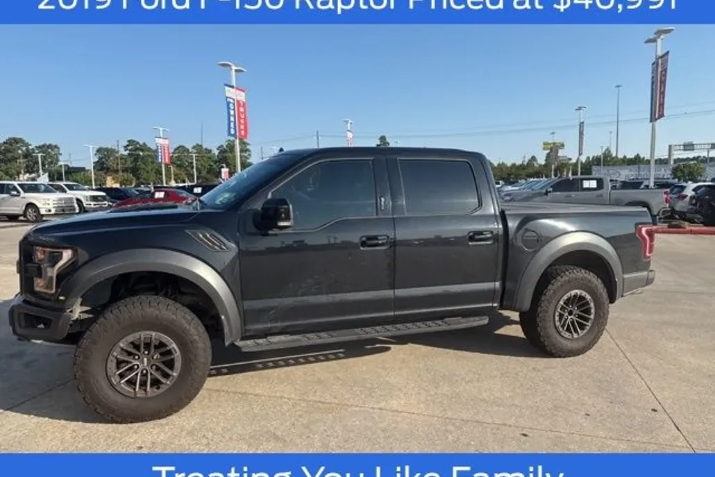 2019 Ford F-150 Raptor photo 1