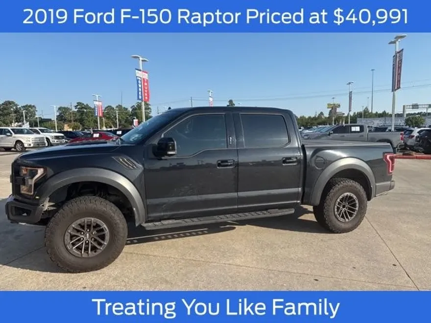 2019 Ford F-150 Raptor photo 1