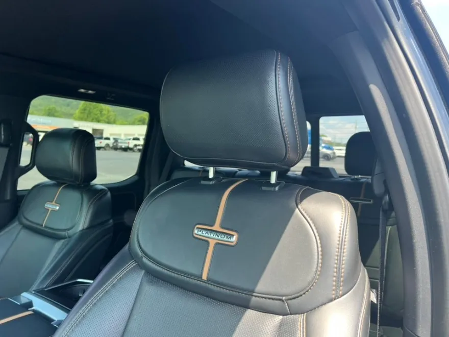 2021 Ford F-150 Platinum photo 20
