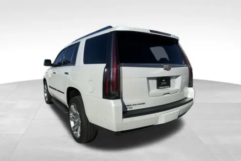 2019 Cadillac Escalade Premium Luxury photo 3
