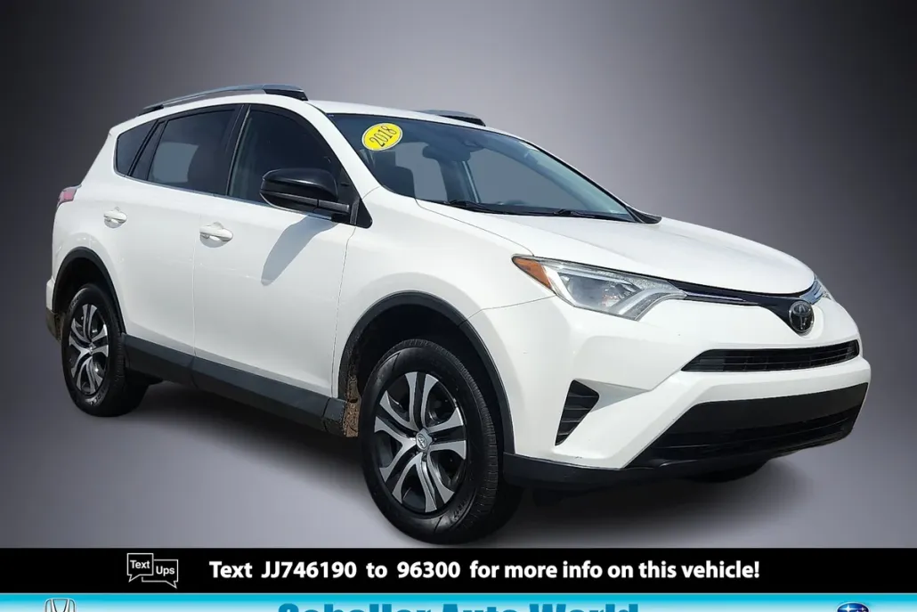 2018 Toyota RAV4 LE photo 1