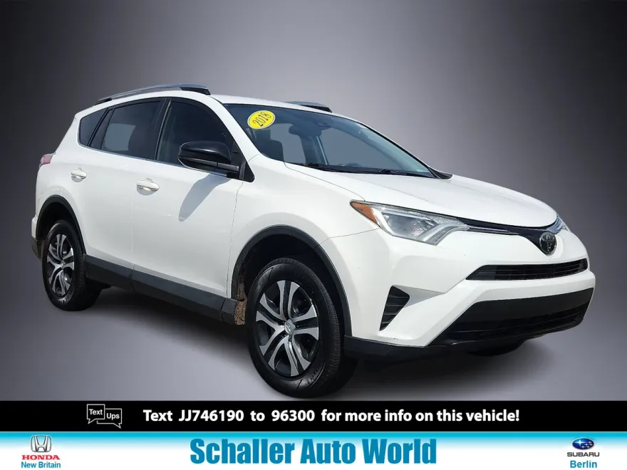 2018 Toyota RAV4 LE photo 1
