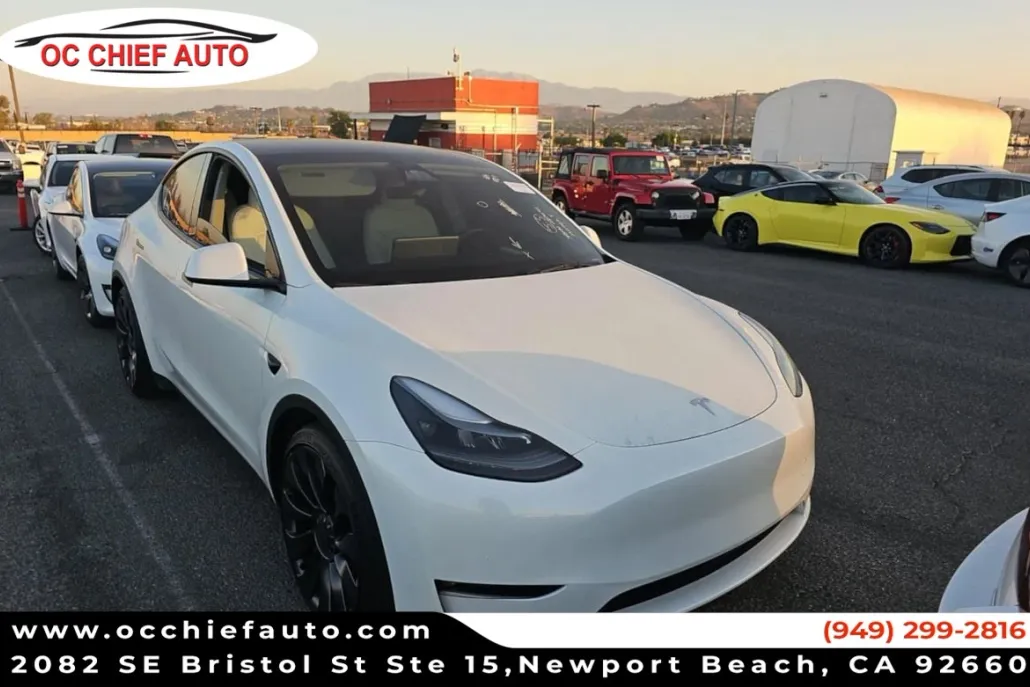 2024 Tesla Model Y Performance photo 1