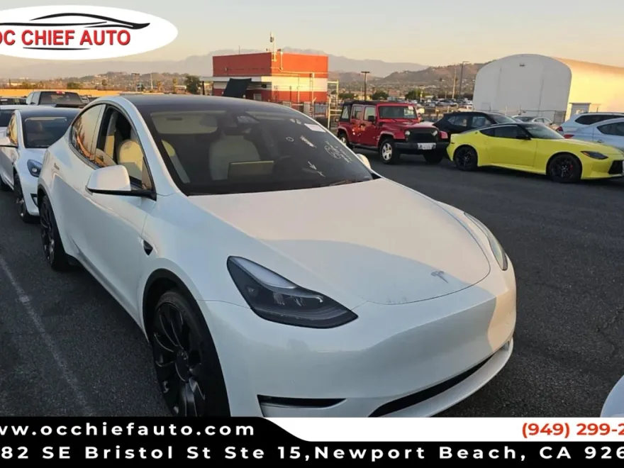 2024 Tesla Model Y Performance photo 1