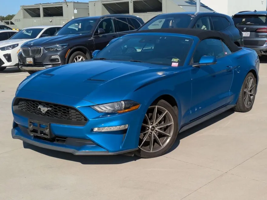 2019 Ford Mustang EcoBoost Premium Convertible photo 1
