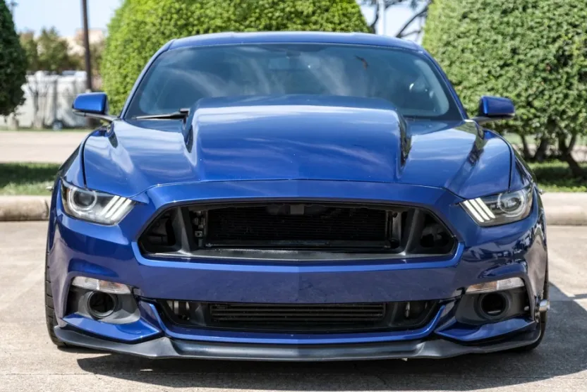 2015 Ford Mustang GT photo 1
