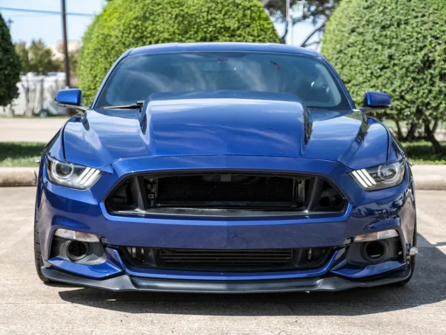 2015 Ford Mustang GT photo 1