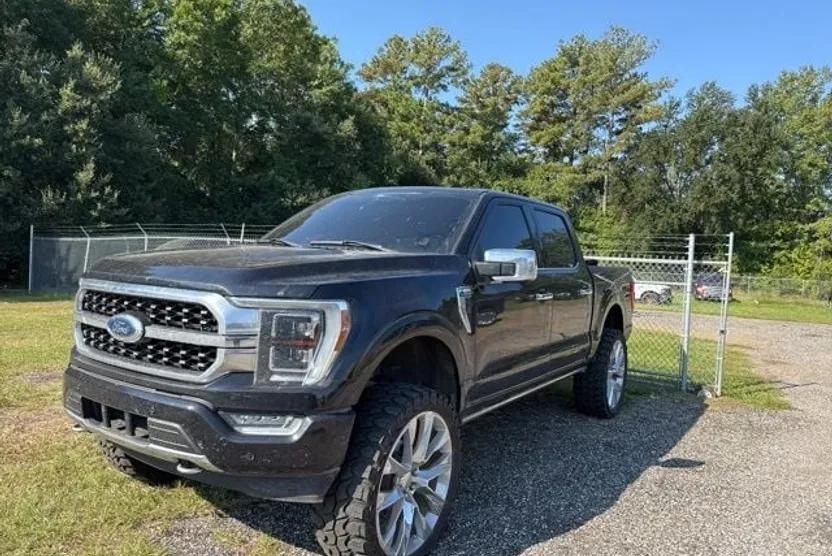 2021 Ford F-150 Platinum photo 1