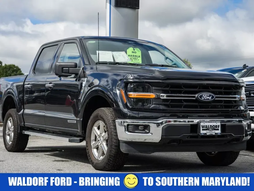 2024 Ford F-150 XLT photo 1