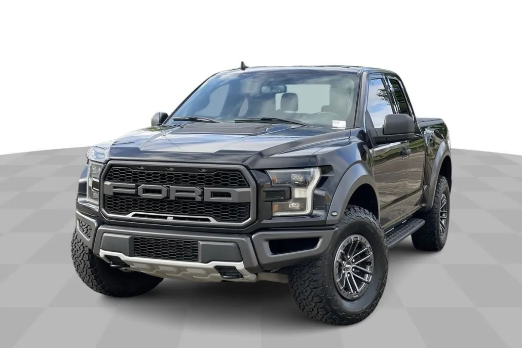 2019 Ford F-150 Raptor photo 1
