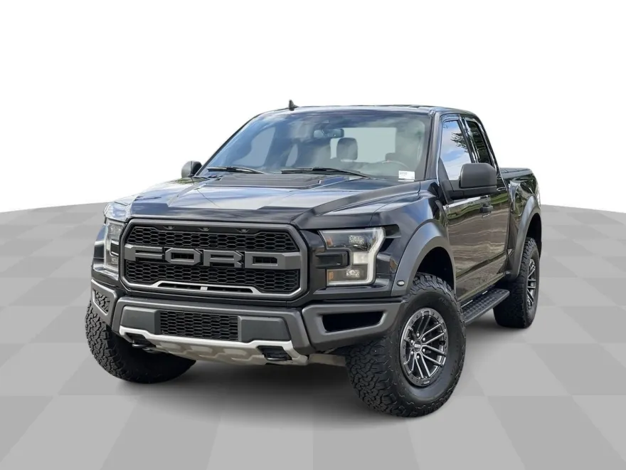 2019 Ford F-150 Raptor photo 1