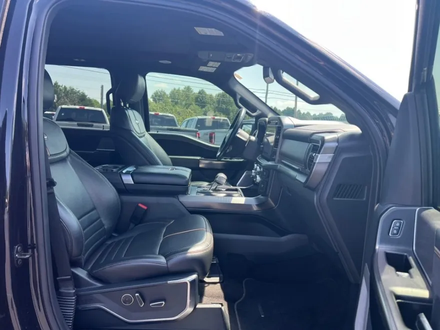 2021 Ford F-150 Platinum photo 14