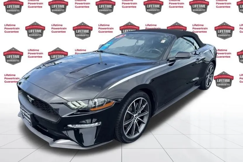 2019 Ford Mustang EcoBoost Premium Convertible photo 1