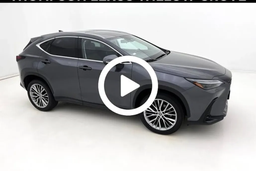 2024 Lexus NX 350 Luxury photo 1