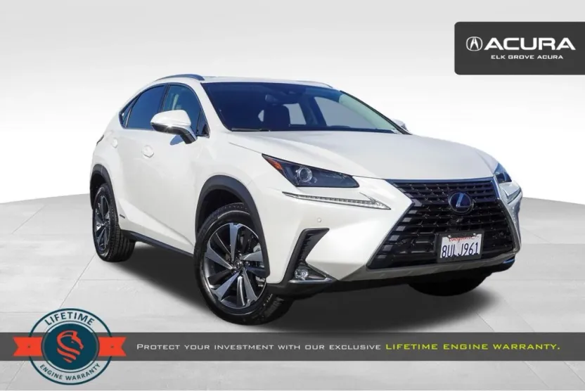 2020 Lexus NX 300h Premium photo 1