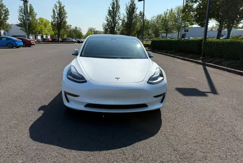 2019 Tesla Model 3 Standard Range Plus photo 1