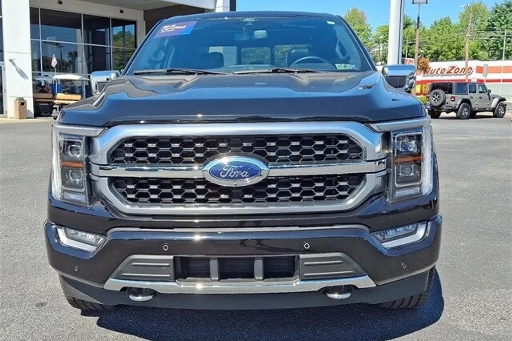 2022 Ford F-150 Platinum photo 1