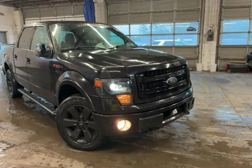 2013 Ford F-150 photo 1
