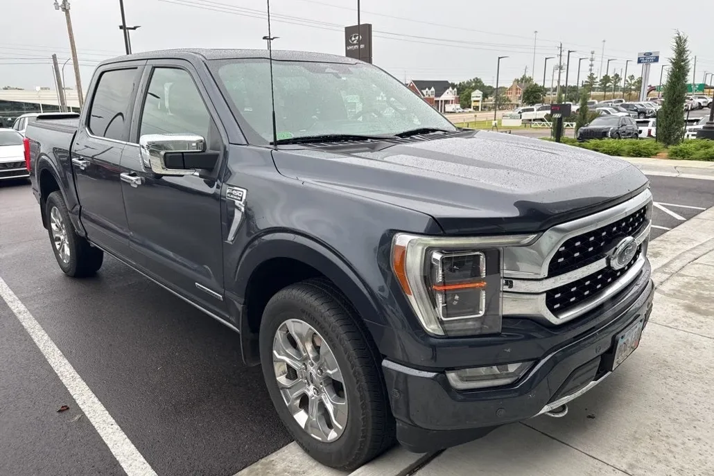 2022 Ford F-150 Platinum photo 1