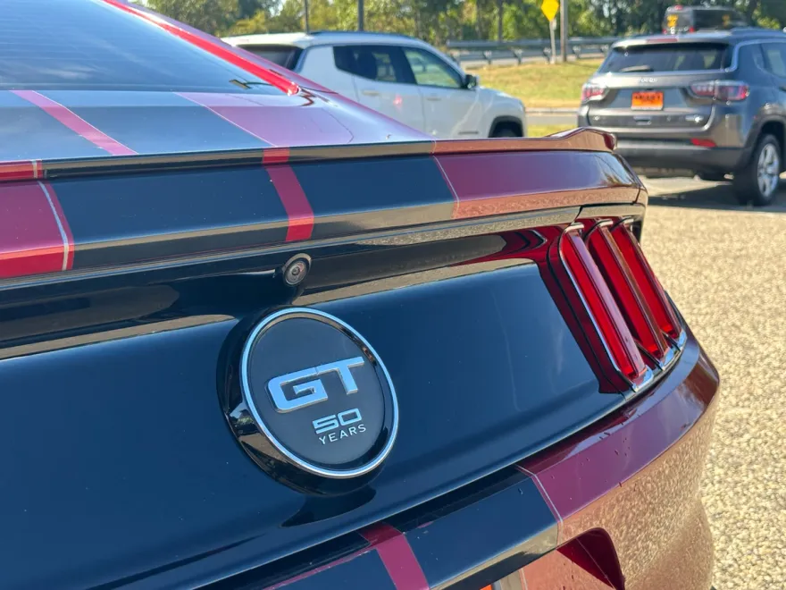 2015 Ford Mustang GT 50th Anniversary Edition photo 1