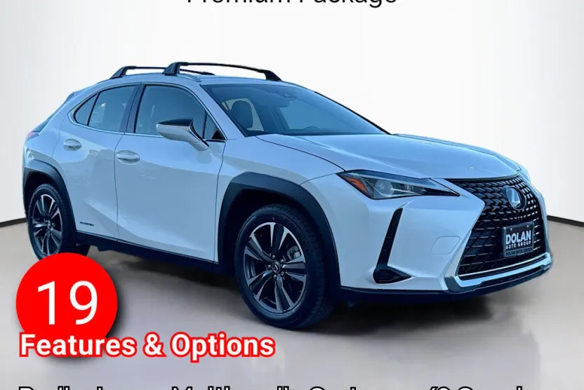 2019 Lexus UX 250h photo 1
